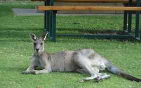 Grampians View Cottages And Units